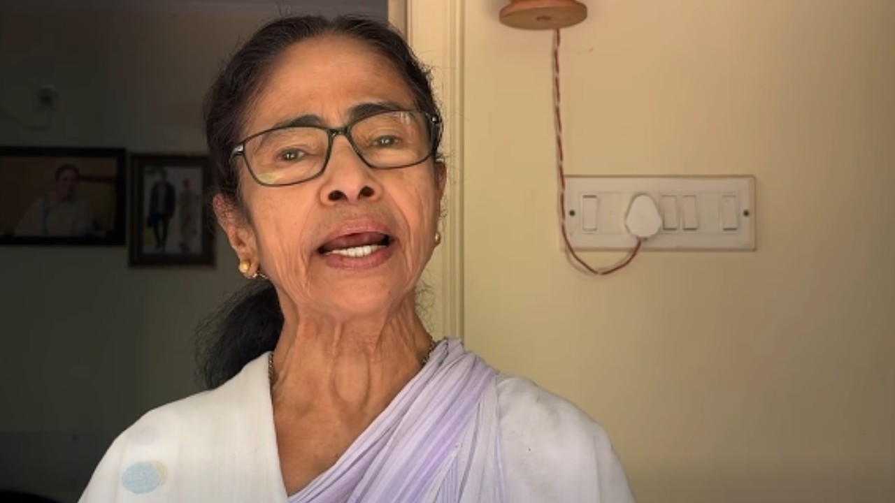 আমরা বাঘের বাচ্চার মতো লড়ব : মমতা